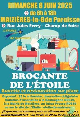 Vide grenier: Maizières la Grande Paroisse - 0
