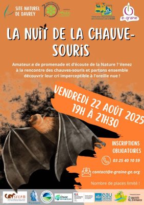 Nuit de la Chauve Souris - 0