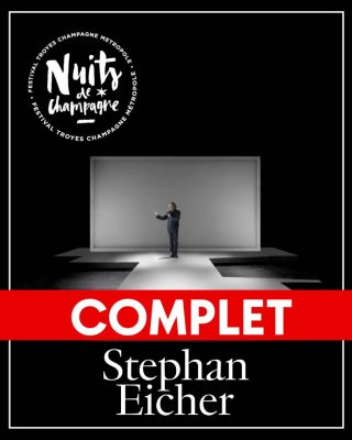 Stephan Eicher (Complet) – Festival Nuits de Champagne - 0