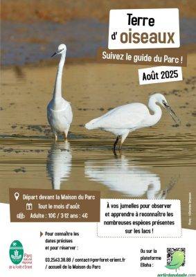 Sortie guidée « Terre d’oiseaux » - 0