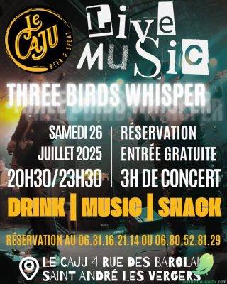 Concert des Three Birds Whisper - 0