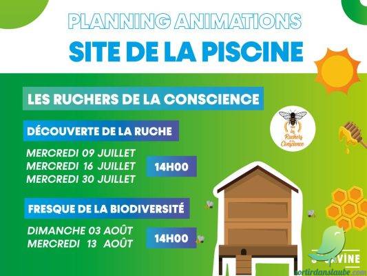 Découverte de la Ruche. - 0