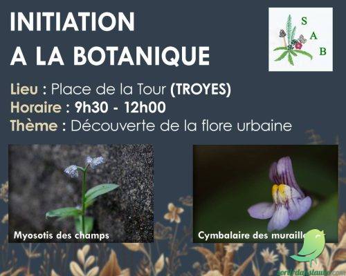 Initiation à la botanique - 0