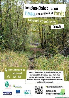  Sortie « Les Bas-Bois : là où l’eau murmure à la forêt » - 0