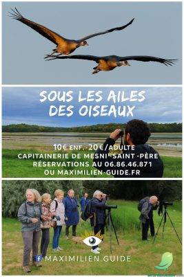 Sous les ailes des oiseaux - 0