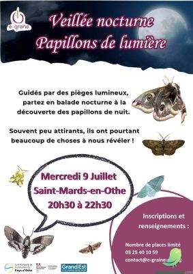 Veillée nocturne « Papillons de lumière » - 0