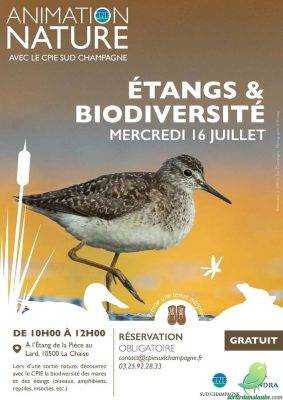 Sortie nature - 0