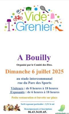 Vide grenier: Bouilly - 0