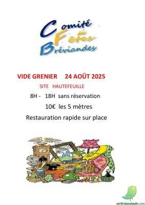 Vide grenier: Bréviandes - 0