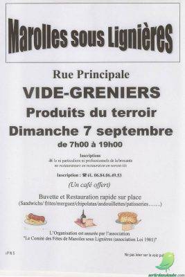 Vide grenier: Marolles sous Lignières - 0