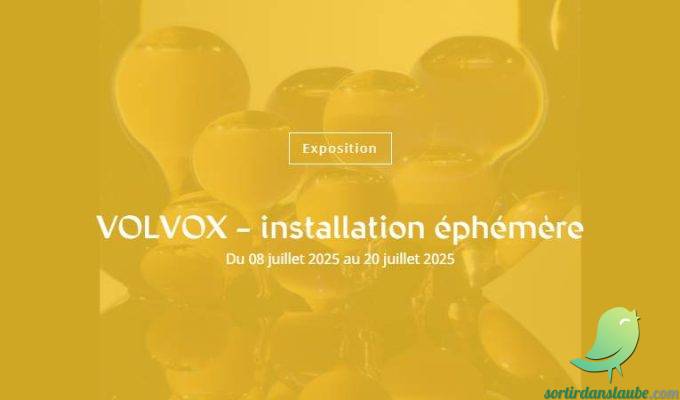 VOLVOX – installation éphémère - 0