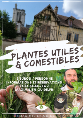 Plantes comestibles - 0