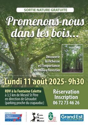 Promenons-nous dans les bois - 0