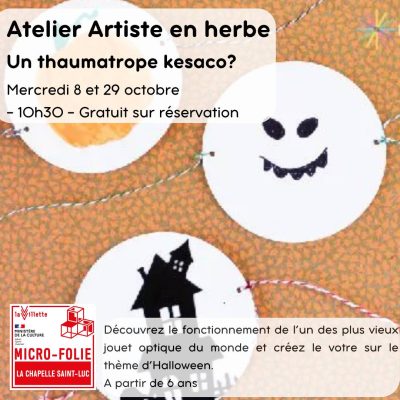 Artistes en herbe: un thaumatrope, késaco? - 0