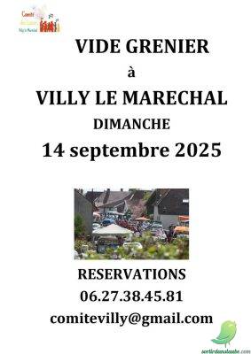 Vide grenier: Villy le Maréchal - 0