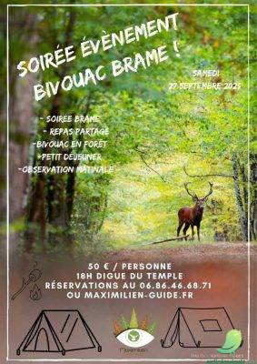 Bivouac et brame du cerf - 0