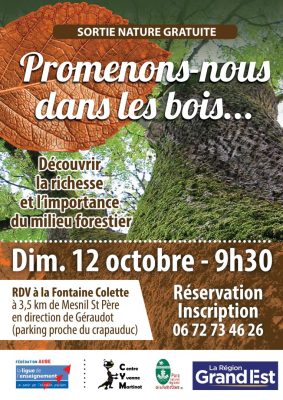 Promenons-nous dans les bois… - 0