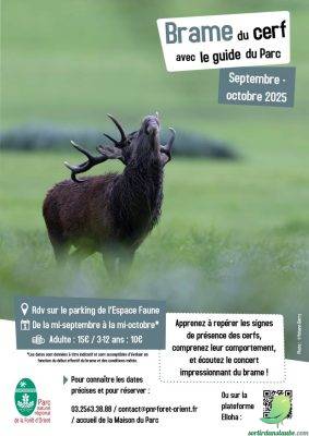 Brame du cerf : frissons d’automne avec le Guide du Parc - 0