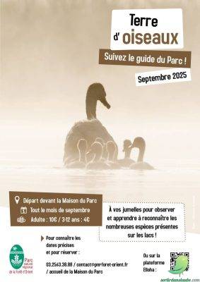 Sortie nature: Terre d&rsquo;Oiseaux - 0