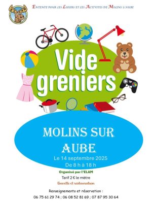 Vide grenier: Molins - 0