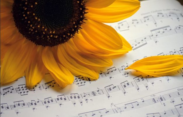 Mardis musicaux du Conservatoire - 0