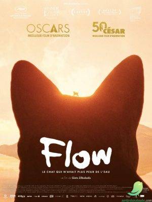 Ciné rencontre: FLOW, LE CHAT QUI N’AVAIT PLUS PEUR DE L’EAU - 0