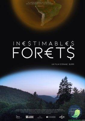 Ciné rencontre: INESTIMABLES FORÊTS - 0