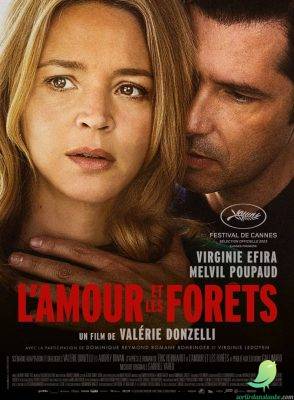 Ciné rencontre: L’AMOUR ET LES FORÊTS - 0