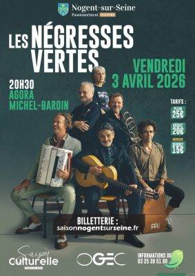 Concert: les Negresses vertes - 0