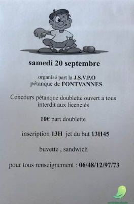Concours de pétanque - 0