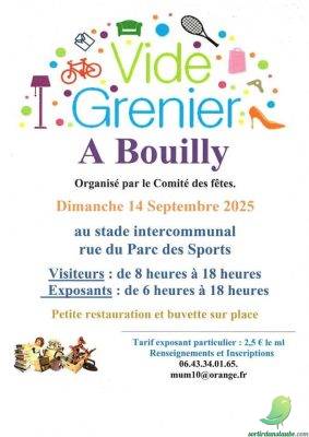 Vide grenier: Bouilly - 0