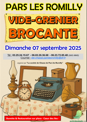 Vide grenier: Pars les Romilly - 0