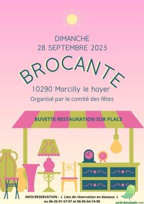 Vide grenier: Marcilly le Hayer - 0