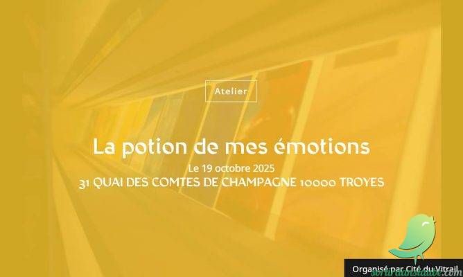 La potion de mes émotions - 0