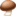 🍄‍🟫