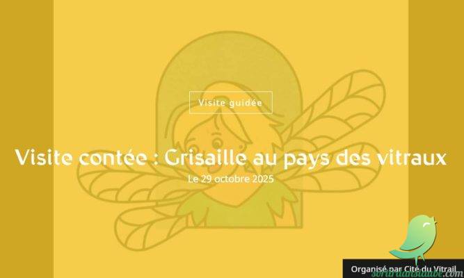 Visite contée : Grisaille au pays des vitraux - 0