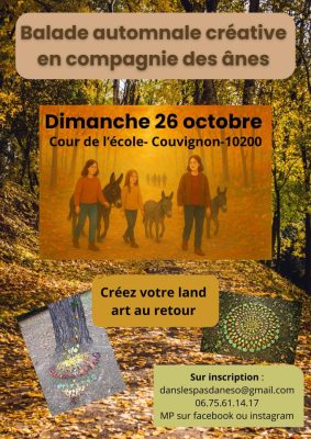 Balade automnale créative en compagnie des ânes - 0