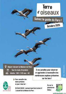 Sortie guidée « Terre d’oiseaux » - 0