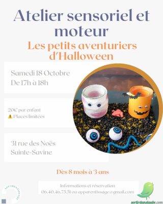 Atelier sensoriel et moteur - 0
