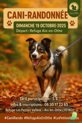 Cani randonnée - 0