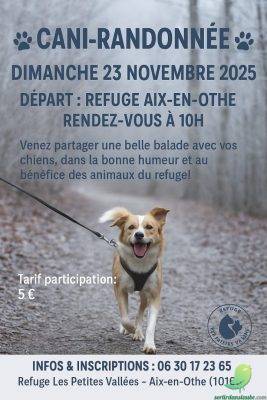 Cani randonnée - 0