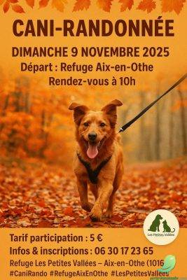 Cani randonnée - 0