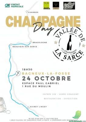 Champagne Day au cœur de la Vallée de la Sarce - 0