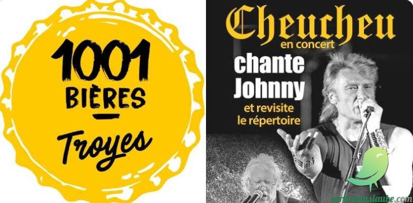Concert de Cheucheu et ses musiciens - 0