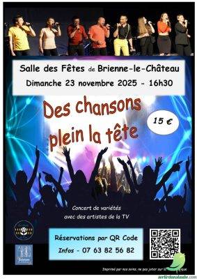 Des chansons plein la tête - 0