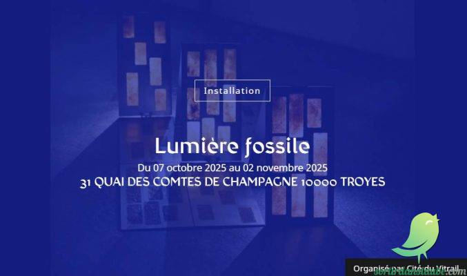 Lumière fossile - 0