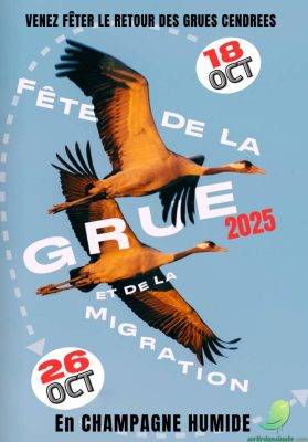 Fête de la Grue - 0