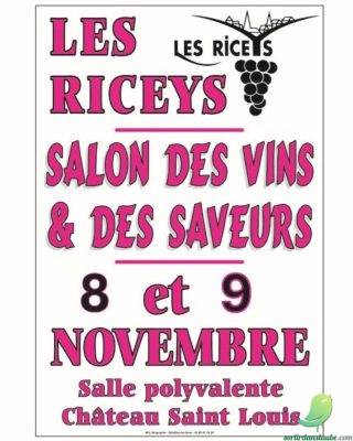 Salon des vins et des saveurs - 0