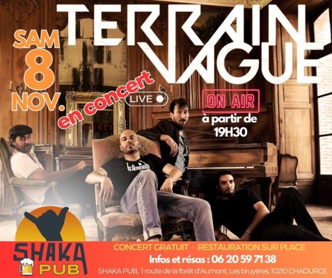 TERRAIN VAGUE en concert - 0