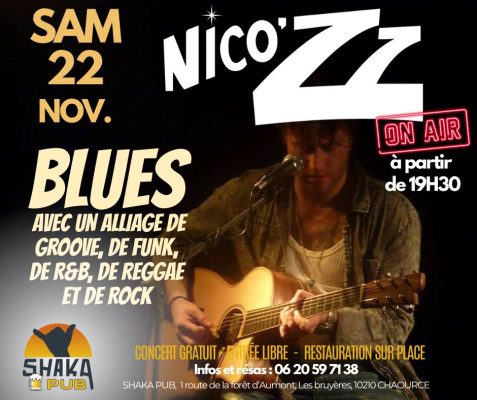 Soirée BLUES : NICO ZZ en concert - 0